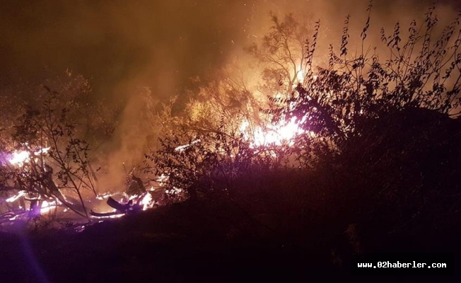 Gerger'de Orman Yangını