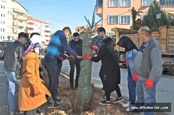 Gölbaşı MYO Öğrencileri Ağaç Dikti