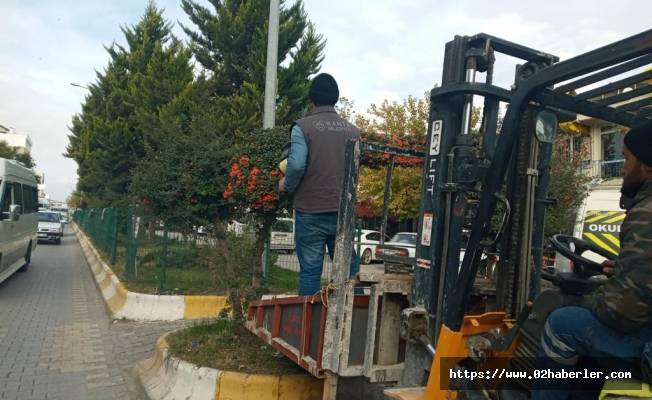 Kahta Belediyesi Ağaç Budama Çalışmalarına Başladı